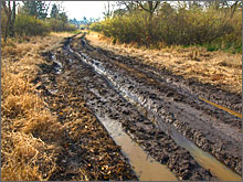 Mud ruts