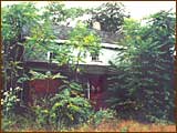 Peter Mott House